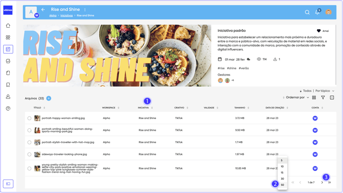 paginacao_lista_iniciativa